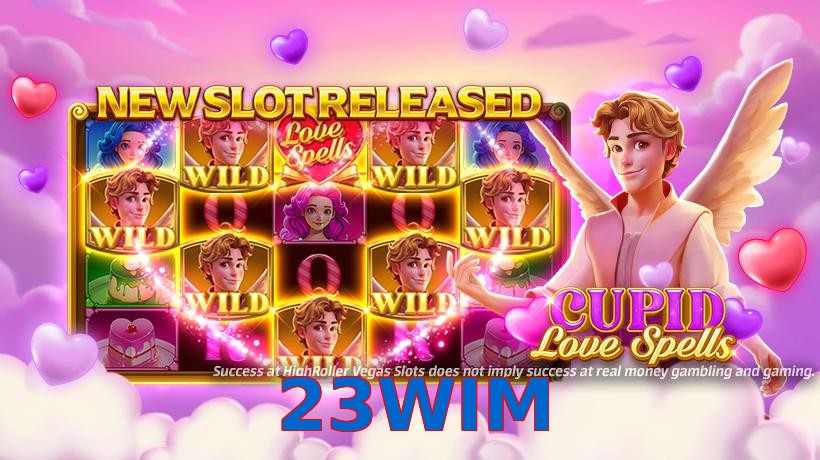23WIM