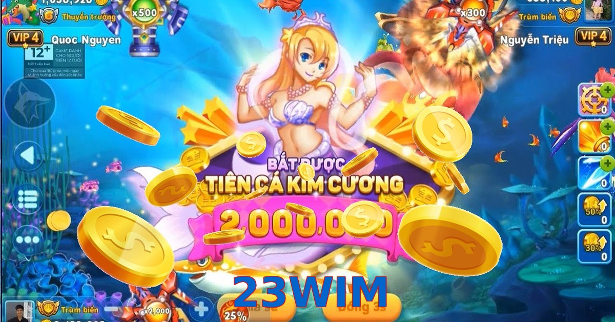 23WIM