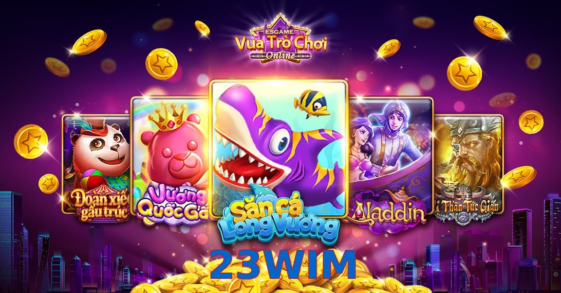 23WIM