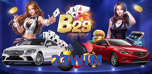 23WIM