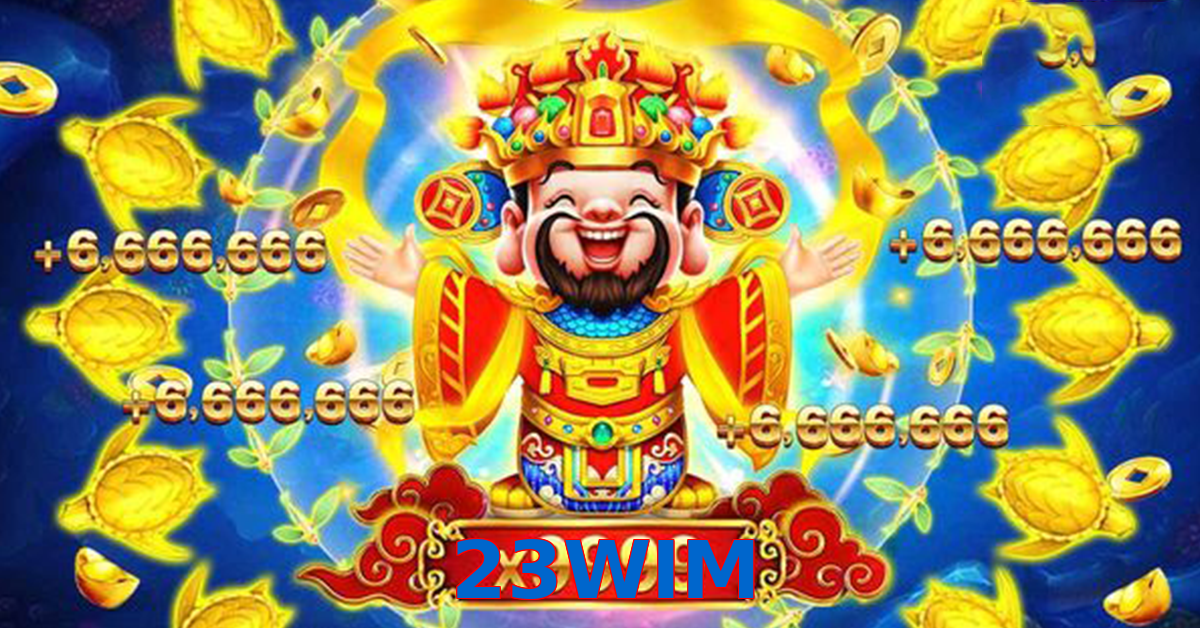 23WIM
