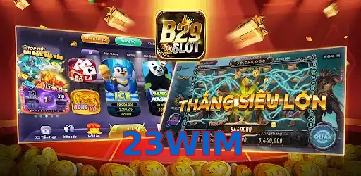 23WIM
