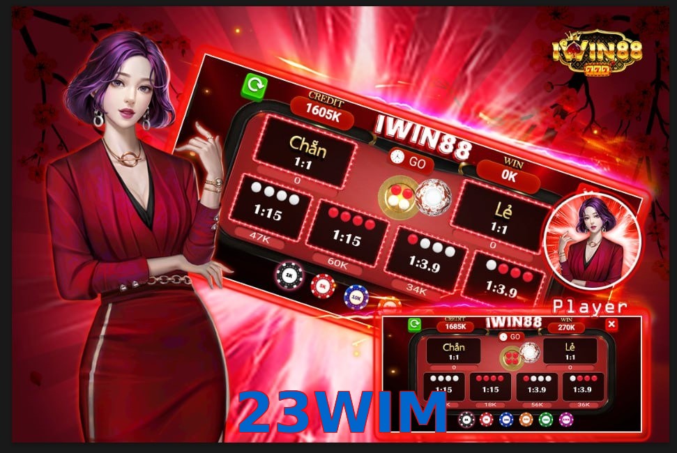23WIM