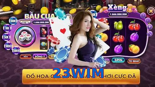 23WIM