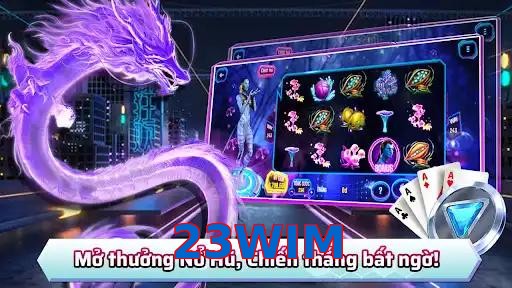 23WIM
