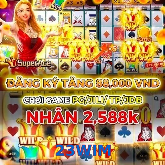 23WIM