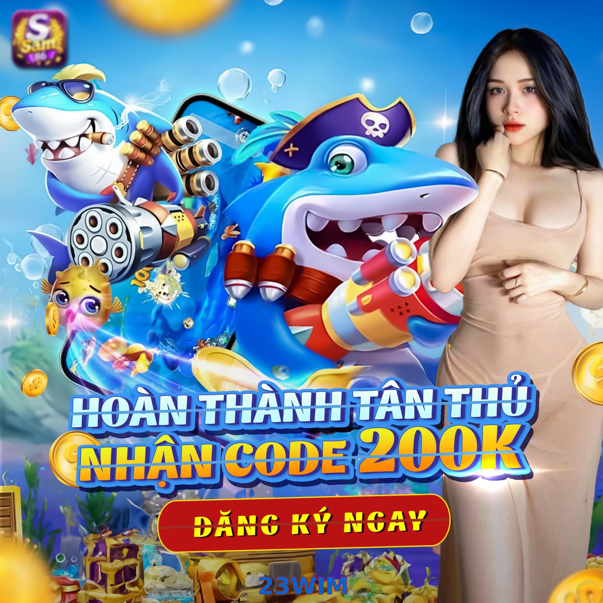 23WIM