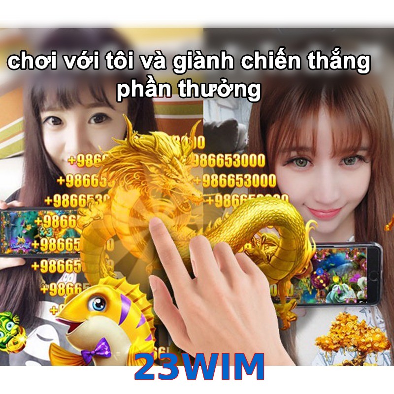 23WIM