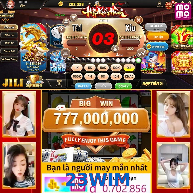 23WIM